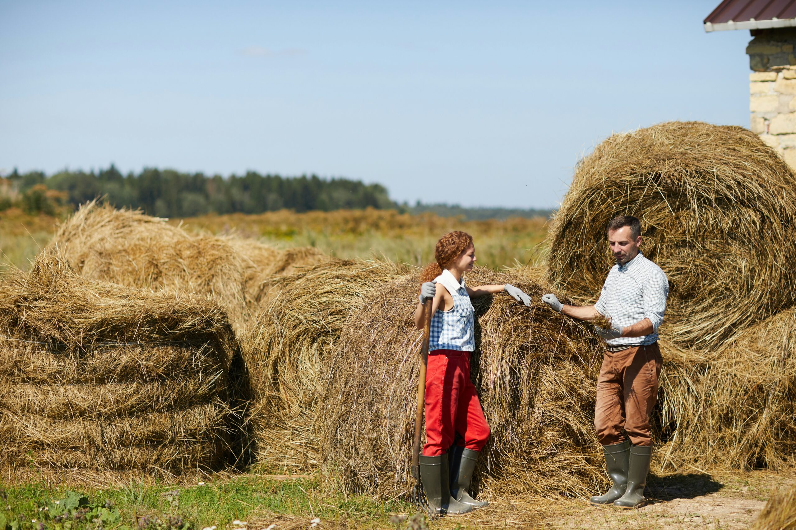 Sustainable Farming-Jeff Kaliel