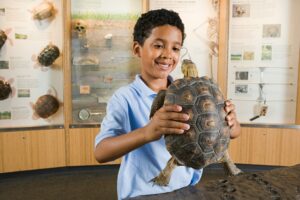 Natural History